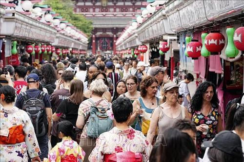 Hệ thống miễn thuế trong nội địa của Nhật Bản - Bài 1: Sức hút không thể bỏ qua
