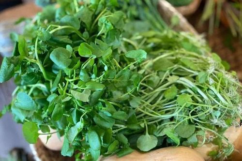 2 loại rau dễ nhiễm ký sinh trùng nhưng lại ngừa ung thư, nhiều dinh dưỡng