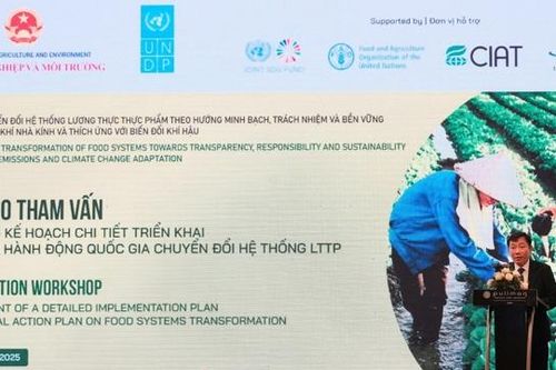 Việt Nam đẩy mạnh chuyển đổi hệ thống lương thực, thực phẩm bền vững