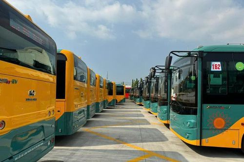 TP. Hồ Chí Minh có thêm nhiều tuyến xe buýt sử dụng nhiên liệu 'sạch'
