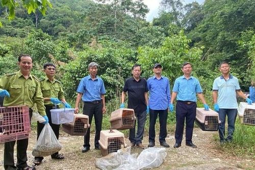Đưa muông thú về lại với rừng