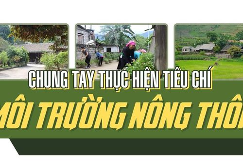 Chung tay thực hiện tiêu chí môi trường nông thôn