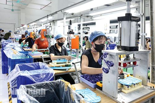 Đẩy mạnh ứng dụng khoa học công nghệ trong sản xuất, kinh doanh