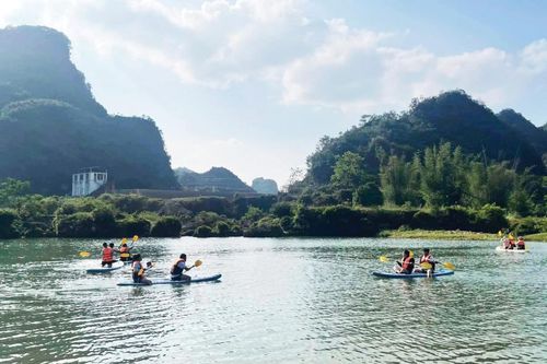 Hành trình 'chữa lành' giữa đại ngàn xanh