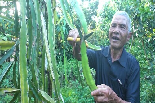 Gương sáng giữa đại ngàn