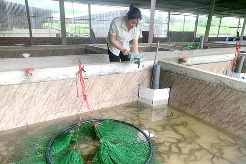 Agribank đầu tư phát triển nông nghiệp sạch,nông nghiệp công nghệ cao