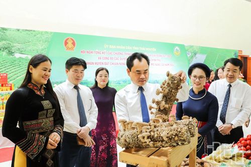 Tổng kết các chương trình mục tiêu quốc gia giai đoạn 2021-2025