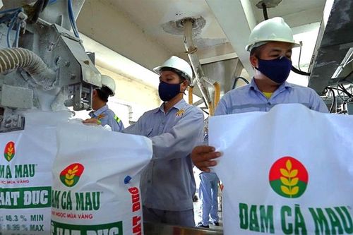 Đạm Cà Mau (DCM) chốt chia cổ tức 20% bằng tiền, dự báo giá phân bón có thể tăng