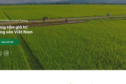Công ty Cổ phần Chứng nhận và kiểm nghiệm FAO bị phạt 75 triệu đồng