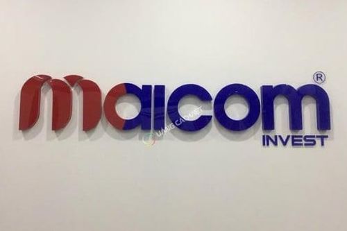 Tạm hoãn xuất cảnh Tổng giám đốc Công ty Maicom Invest