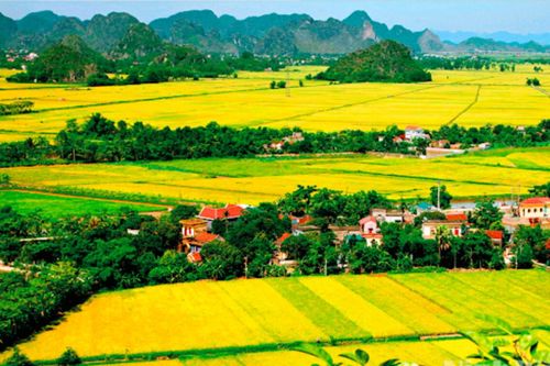 Nông thôn bền vững: Từ nền móng hạ tầng đến sức sống cộng đồng