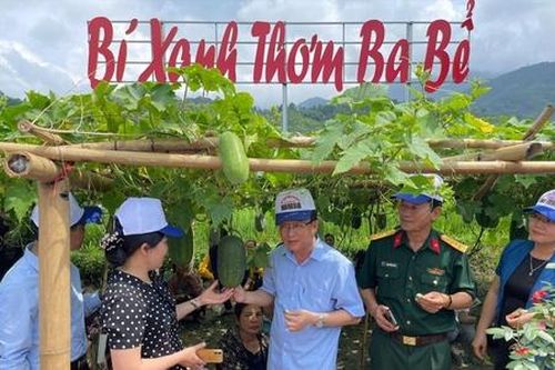HTX quy mô lớn 'chung tay' giảm nghèo ở Bắc Kạn
