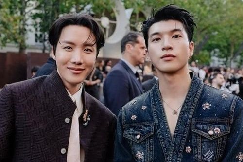 Hieuthuhai hội ngộ J-Hope tại Pháp