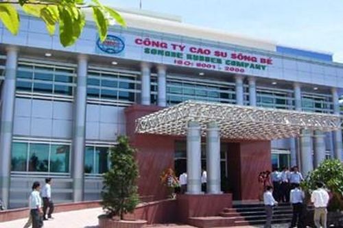 Cao su Sông Bé bị xử phạt hơn 137 triệu đồng