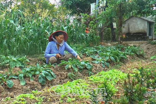 Ðổi mới để sản xuất hiệu quả