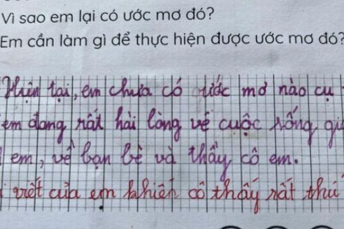 Viết văn nói về ước mơ, bé tiểu học chỉ viết 2 câu đã khiến cô giáo khen 'rất thú vị', dân tình nể phục