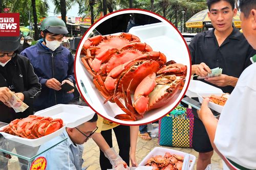 Cua luộc vỉa hè TP.HCM gây sốt, người dân tranh nhau từng con