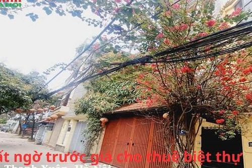 Bất ngờ trước giá cho thuê biệt thự tại Thanh Xuân, Hà Nội