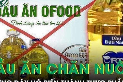 Thủ đoạn tinh vi trong đường dây biến dầu ăn chăn nuôi thành dầu ăn cho người