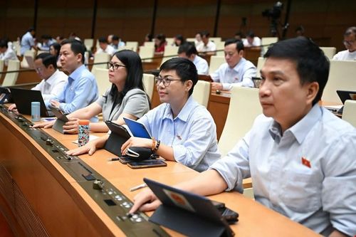 Quốc hội thông qua Luật Tham gia lực lượng gìn giữ hòa bình của Liên hợp quốc