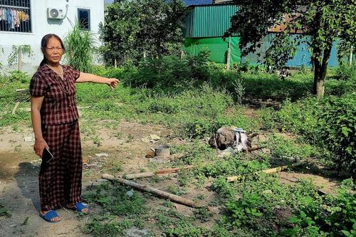 Nghệ An: 'Sốc' khi nộp thuế đất