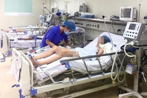 Cảnh báo bệnh viêm não Nhật Bản vào mùa cao điểm