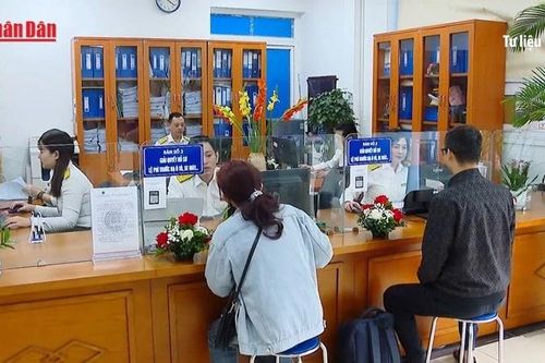 Tạm dừng việc ban hành quyết định kiểm tra thuế