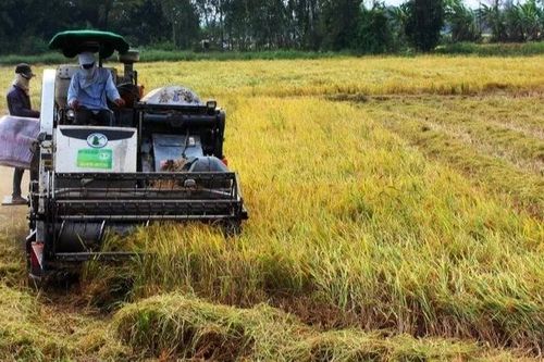 Chủ động dẫn dắt chuyển đổi xanh trong ngành trồng trọt
