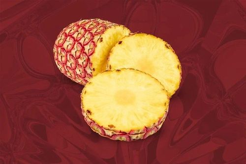 Tận thấy loại dứa đắt không tưởng hơn 10 triệu đồng một quả