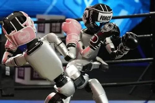 Robot giống người đầu tiên thi đấu quyền anh gây sửng sốt