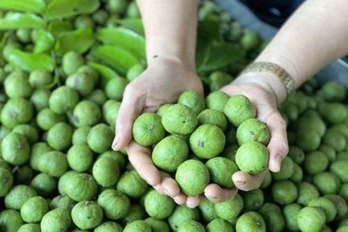 5 tác dụng của quả sấu