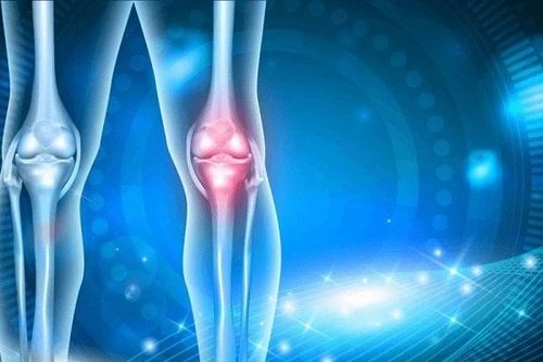 Màng sinh học điều trị tổn thương sụn khớp gối