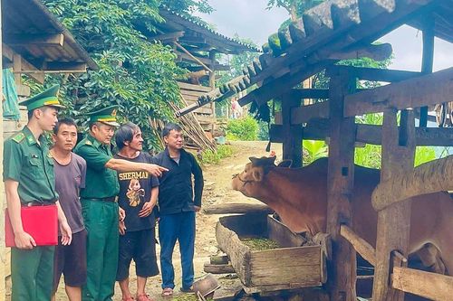 Chung tay bảo vệ môi trường, tích cực ứng phó với biến đổi khí hậu