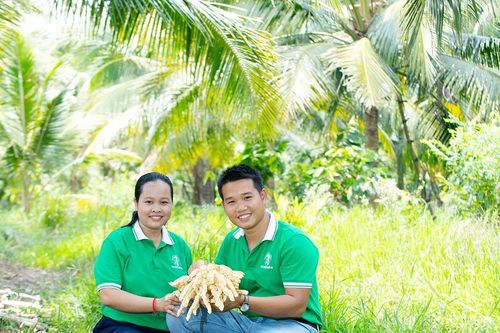 Sokfarm và hành trình 'gieo mật' từ hoa dừa: Khởi nghiệp xanh bắt đầu từ điều gần gũi nhất