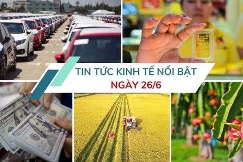 Tin tức kinh tế ngày 26/6: Đồng đô la giảm xuống mức thấp nhất trong hơn 3 năm