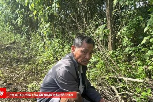 Bắt đôi tình nhân buôn ma túy