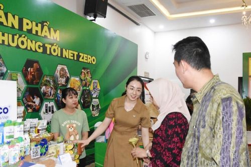 Giấc mơ ngọt từ 'Vương quốc dừa' Bến Tre