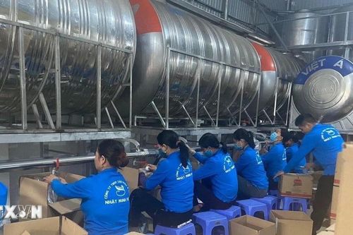 Bát nháo thị trường dầu ăn giá rẻ: Vạch trần các chiêu trò gian lận