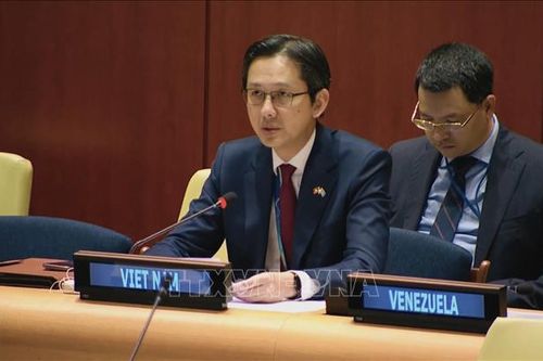 Việt Nam cam kết chung tay trong nỗ lực bảo vệ trẻ em trong xung đột vũ trang