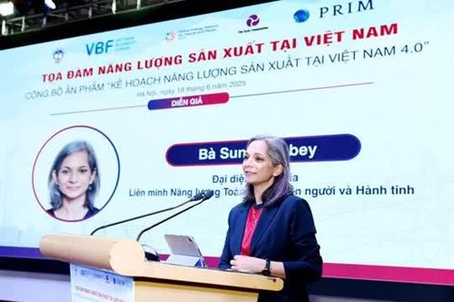 Tìm giải pháp bền vững giúp chuyển dịch năng lượng sạch tại Việt Nam