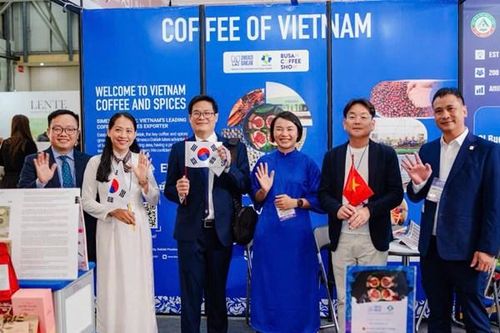 Cà phê Robusta Việt chinh phục người tiêu dùng Hàn Quốc