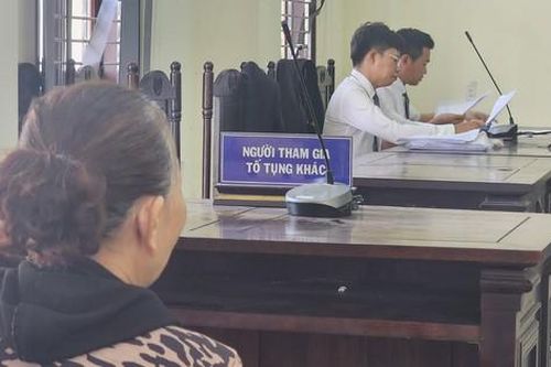 Vụ 'bênh mẹ mà phạm tội': Tòa quyết định trả hồ sơ điều tra lại