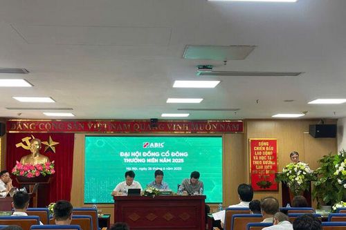 ĐHĐCĐ ABIC: Đặt mục tiêu lãi trước thuế 315 tỷ đồng, chia cổ tức 20% bằng cổ phiếu