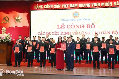 Bổ nhiệm Chánh án Tòa án nhân dân tỉnh Đồng Nai mới