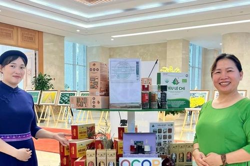 Gia Lai có thêm 5 sản phẩm OCOP 5 sao