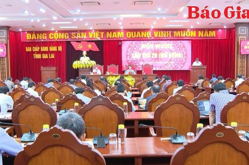 Ban Chấp hành Đảng bộ tỉnh Gia Lai tổ chức Hội nghị lần thứ 20 (mở rộng)