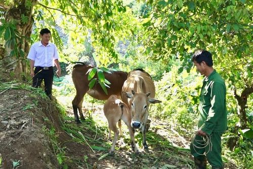 Hiệu quả từ các chương trình, chính sách hợp lòng dân