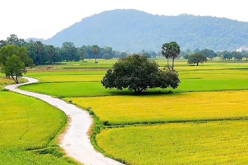 Về An Giang du lịch ngày hè