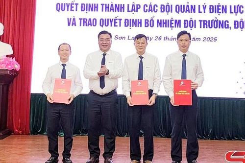 Thành lập các đội quản lý điện lực khu vực theo mô hình tổ chức mới
