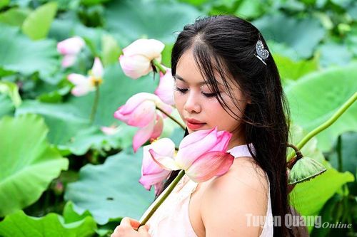 Mùa sen Nà Bản